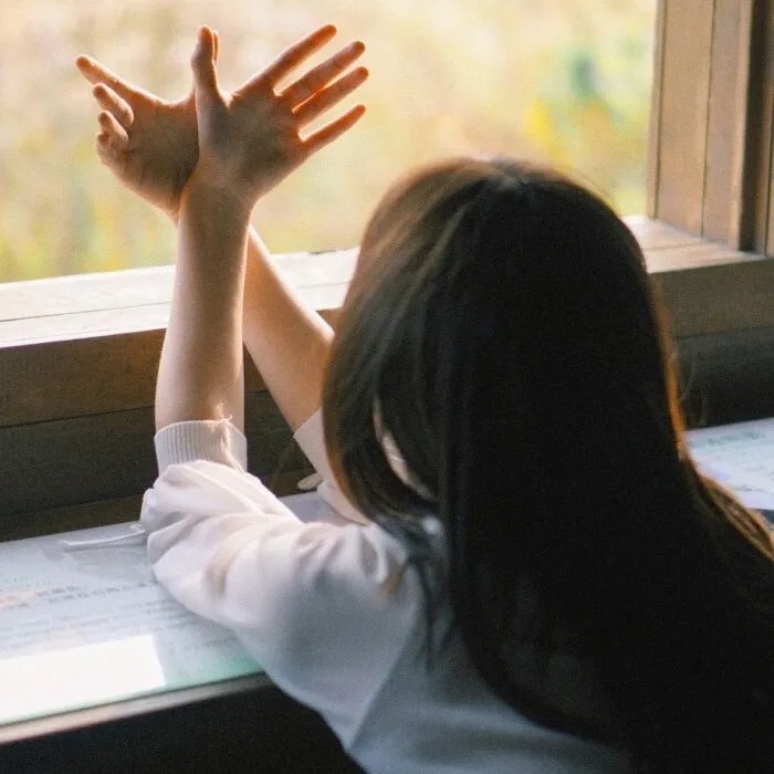 名校风暴第七季